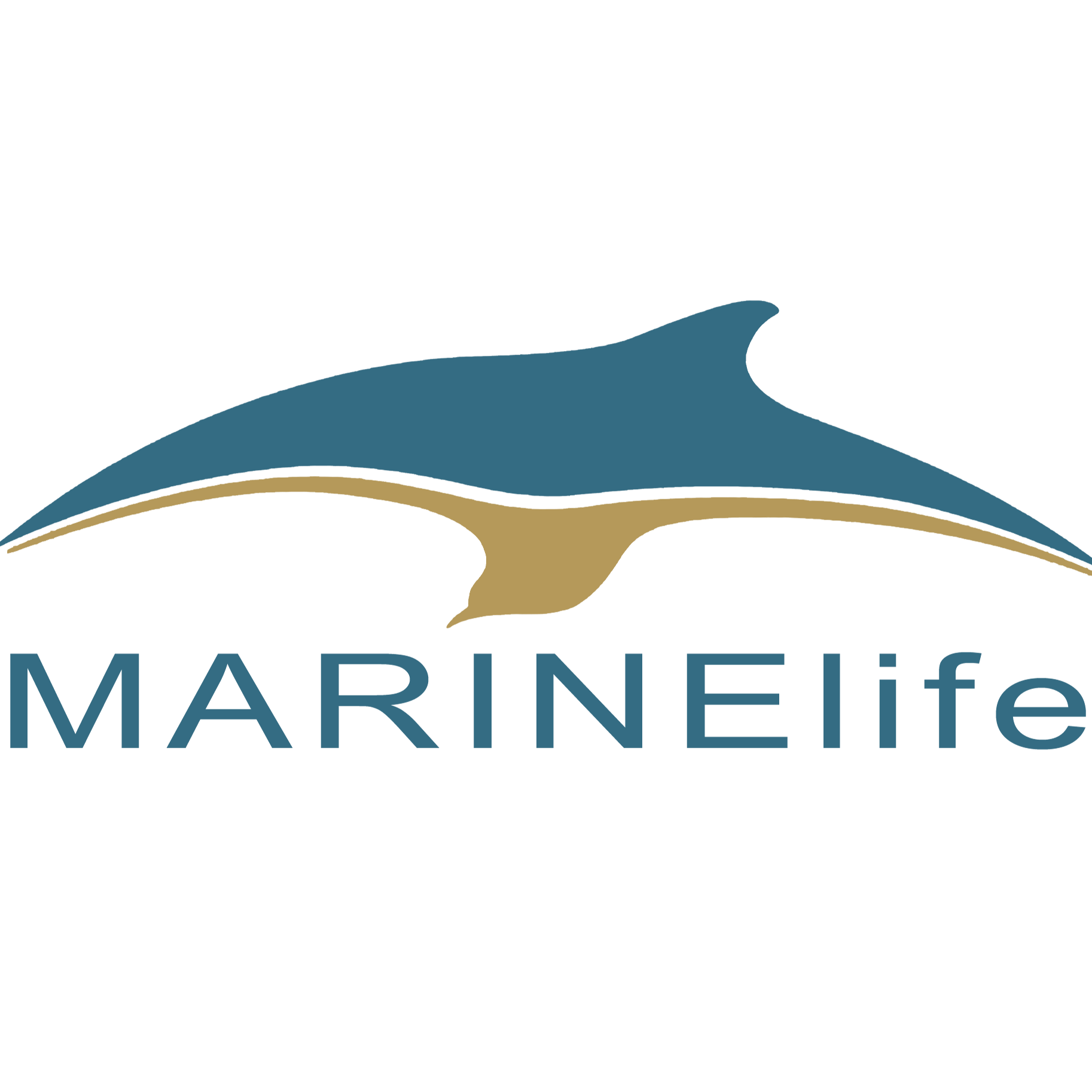 MARINElife